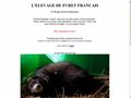 Elevage de furet domestique